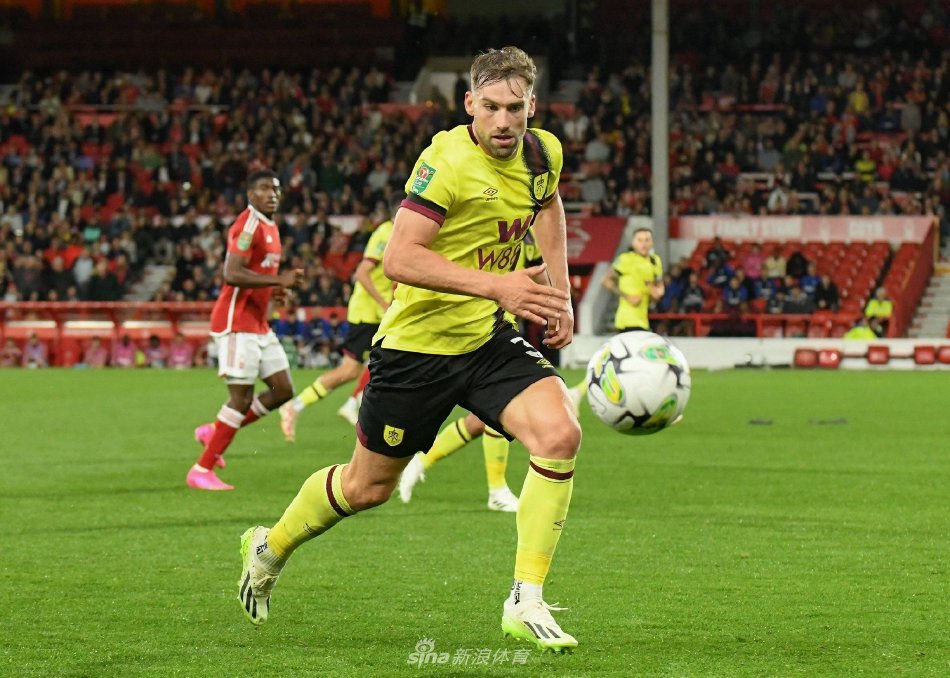 纳在今夏引 纳在今夏引